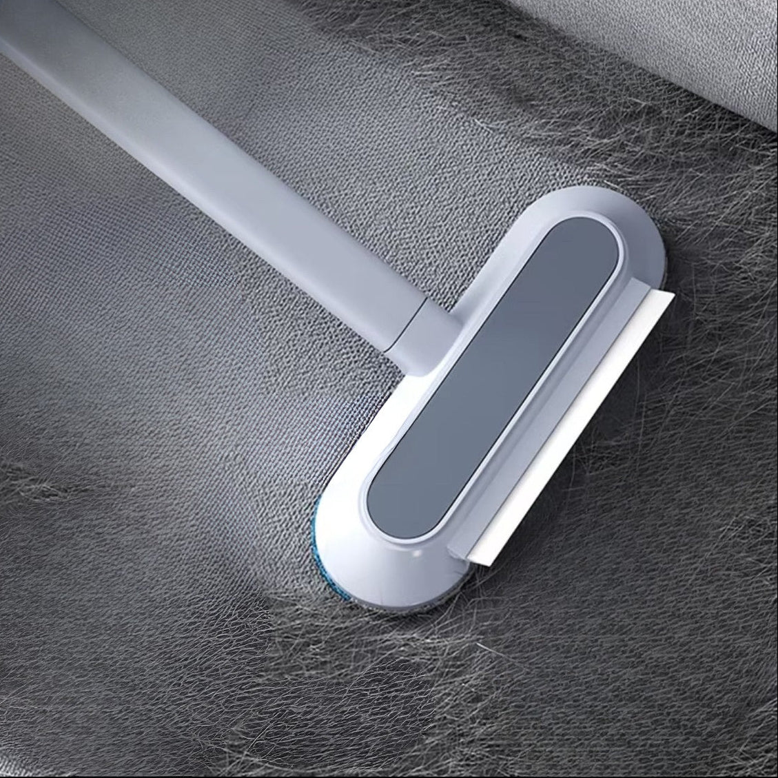 Pet hair remover on a carpet with pet hair collected