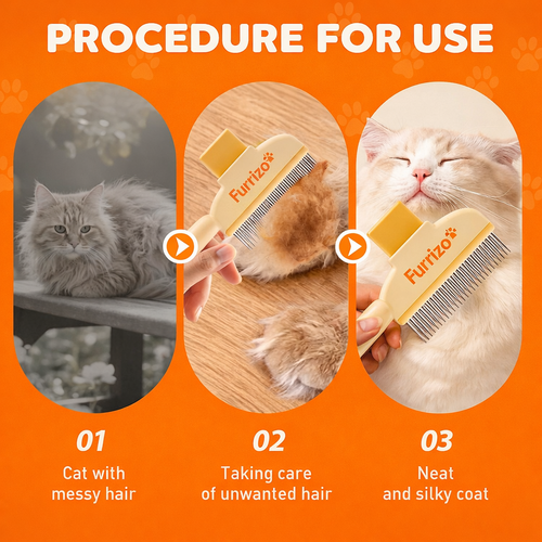 Steps to use the pet hair removal comb for grooming a messy cat to a neat and silky coat.