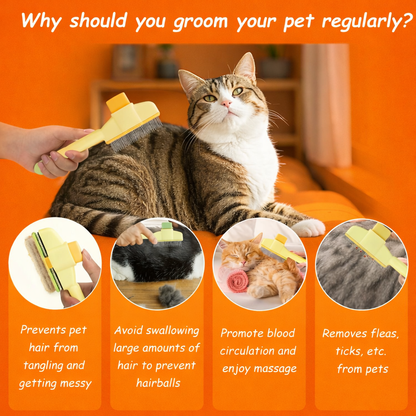 Pet hair removal comb promoting regular grooming, benefits include preventing tangles and massages for pets.